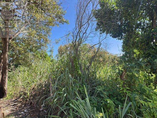 Terreno para Venda em Maricá - 5